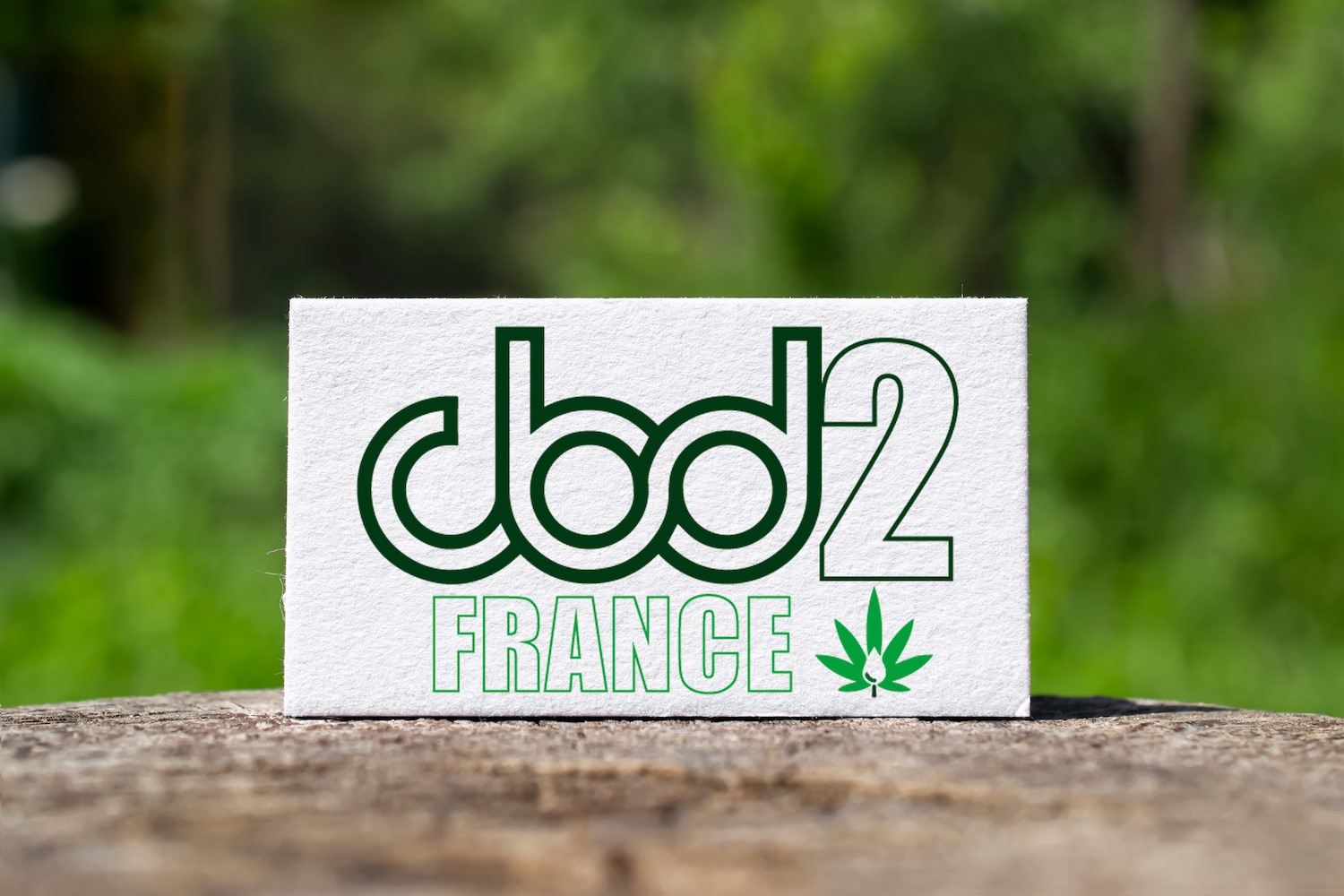 CBD2%20France.jpg